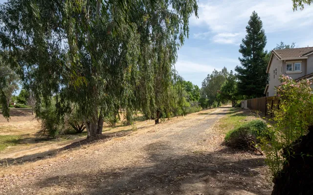 a view of dirt yard with a large tree