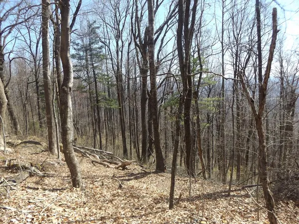 $12,900 | Tbd Mountaineer Way, Unit 9, Fancy Gap, VA 24328