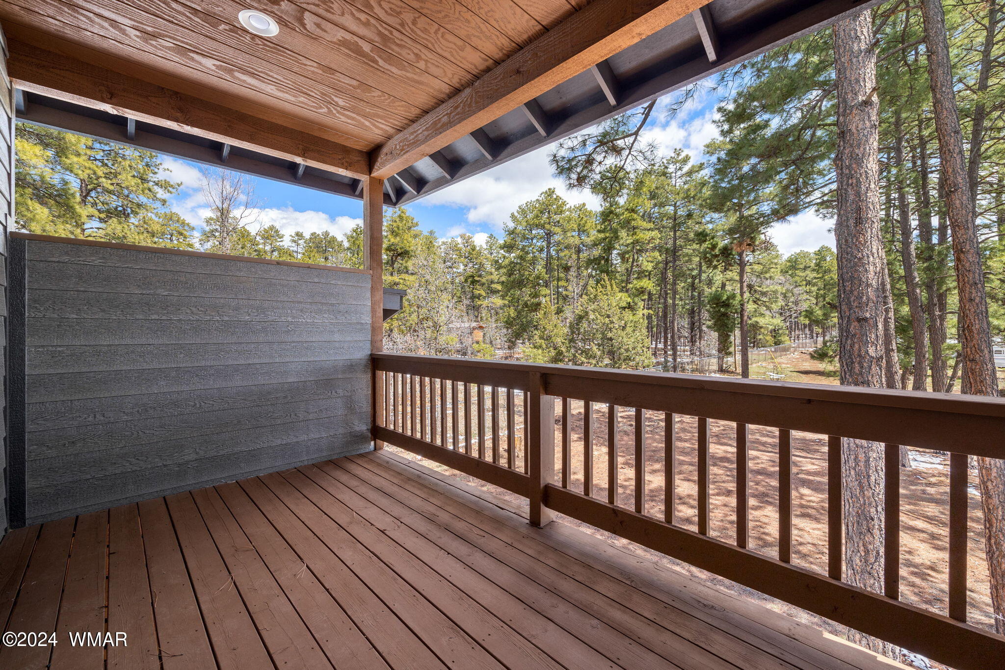 469 Megans Loop Lakeside, AZ 85929 - Photo 24 of 37 469MegansLp-PinetopLakeside-AZ-24