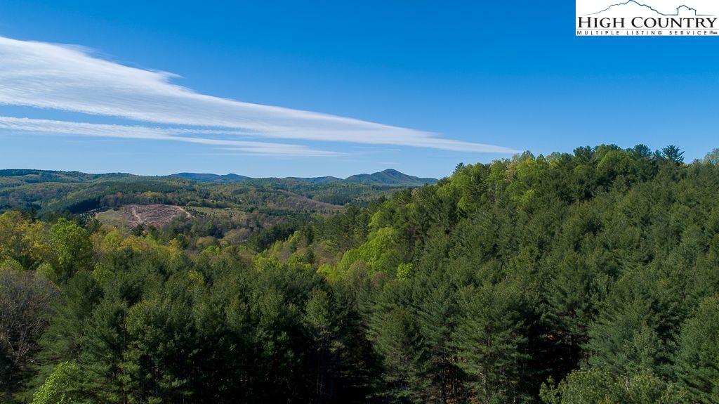 444 Chinquapin Ridge Road Scottville, NC 28672 - Photo 44 of 50 Gallery Image 44