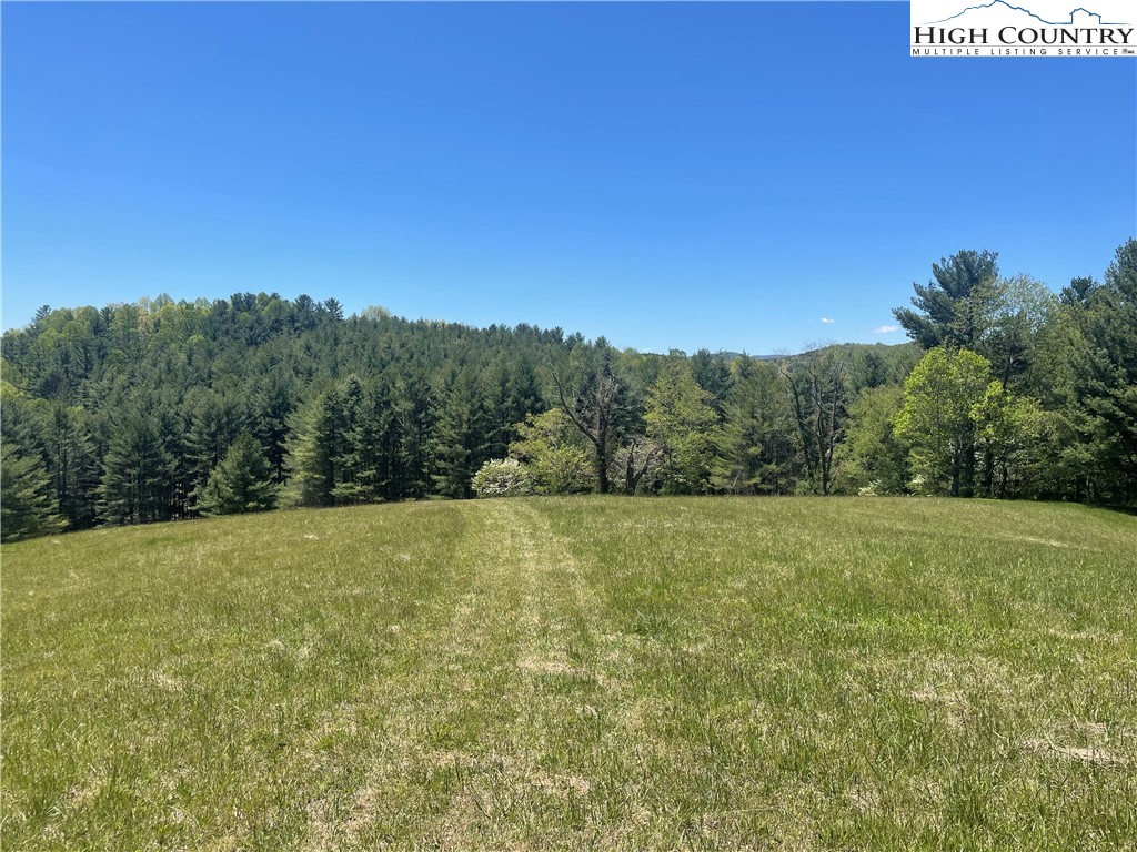 444 Chinquapin Ridge Road Scottville, NC 28672 - Photo 49 of 50 Gallery Image 49