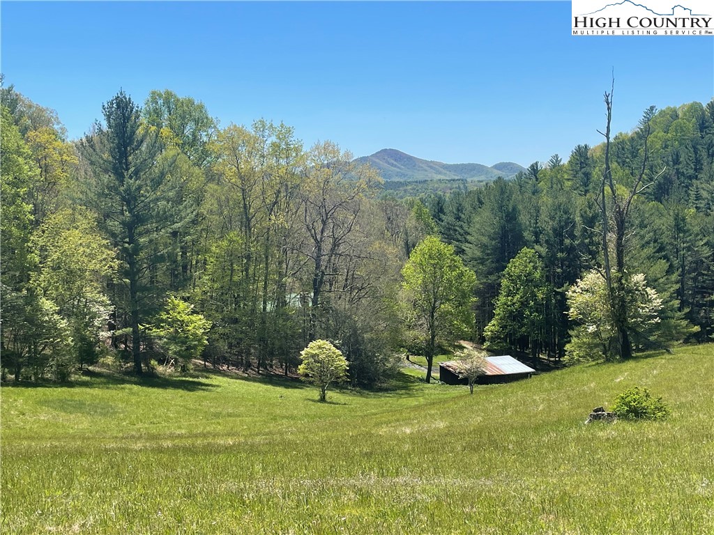 444 Chinquapin Ridge Road Scottville, NC 28672 - Photo 50 of 50 Gallery Image 50