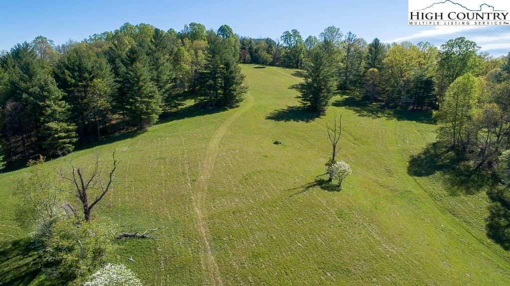 444 Chinquapin Ridge Road Scottville, NC 28672 - Photo 7 of 50 Gallery Image 7