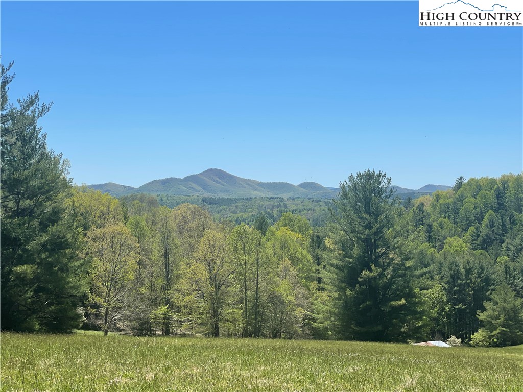 444 Chinquapin Ridge Road Scottville, NC 28672 - Photo 9 of 50 Gallery Image 9
