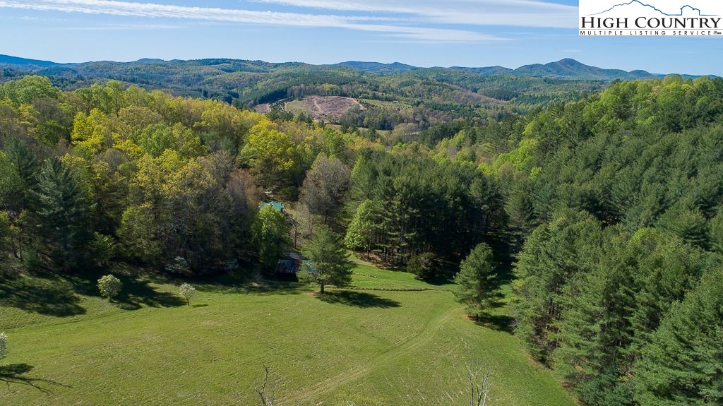 444 Chinquapin Ridge Road Scottville, NC 28672 - Photo 10 of 50 Gallery Image 10