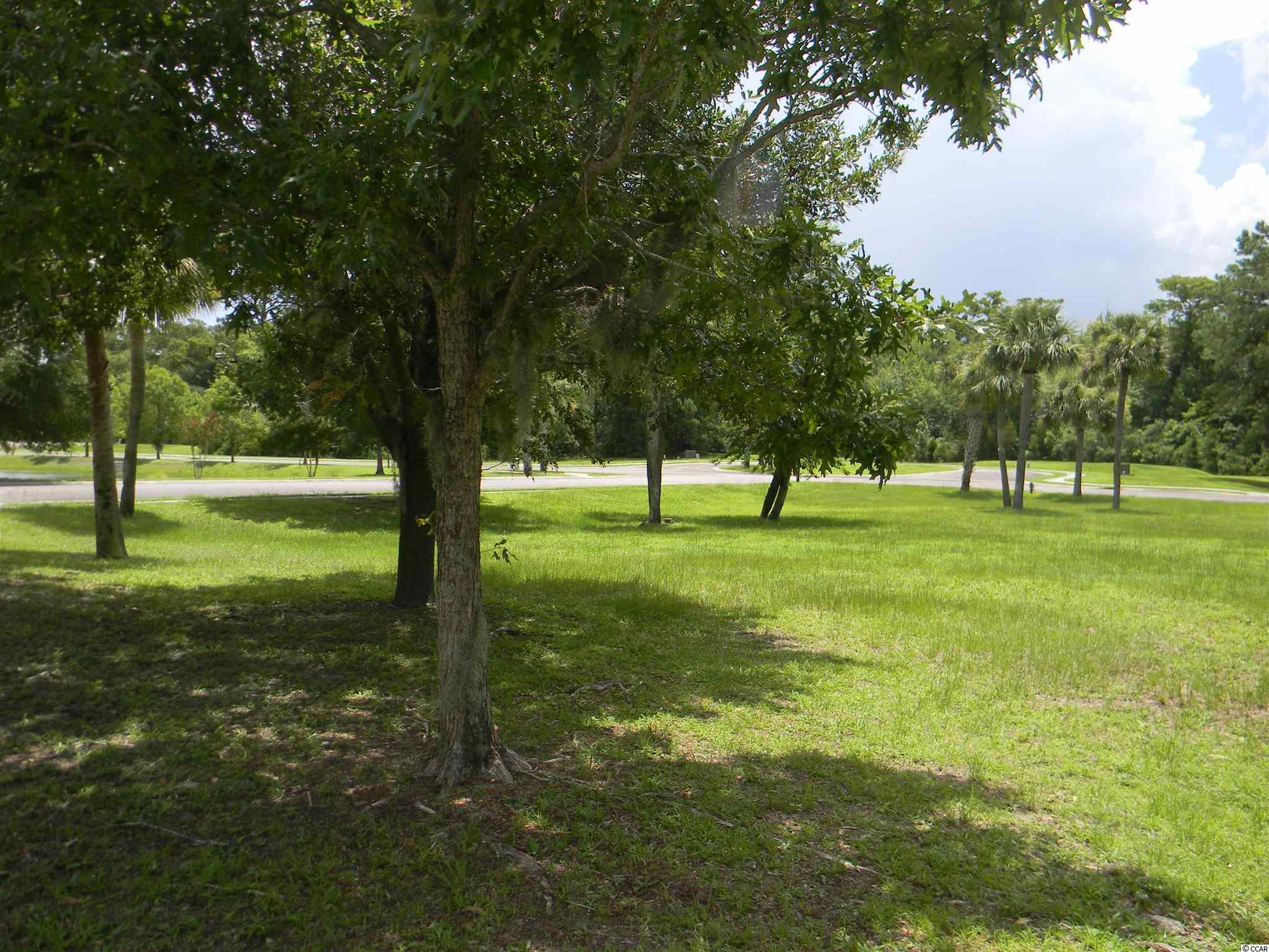 Lot 187 Commanders Island Road Georgetown, SC 29440 - Photo 1 of 29 Gallery Image 1