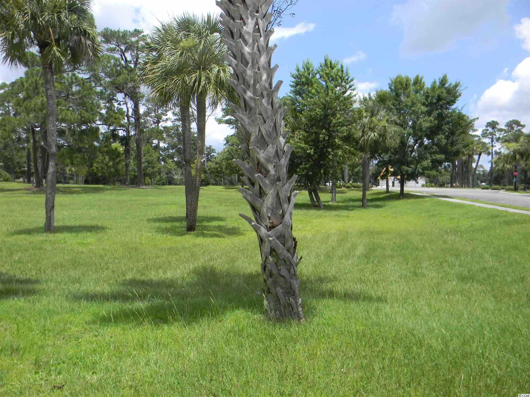 Lot 187 Commanders Island Road Georgetown, SC 29440 - Photo 2 of 29 Gallery Image 2