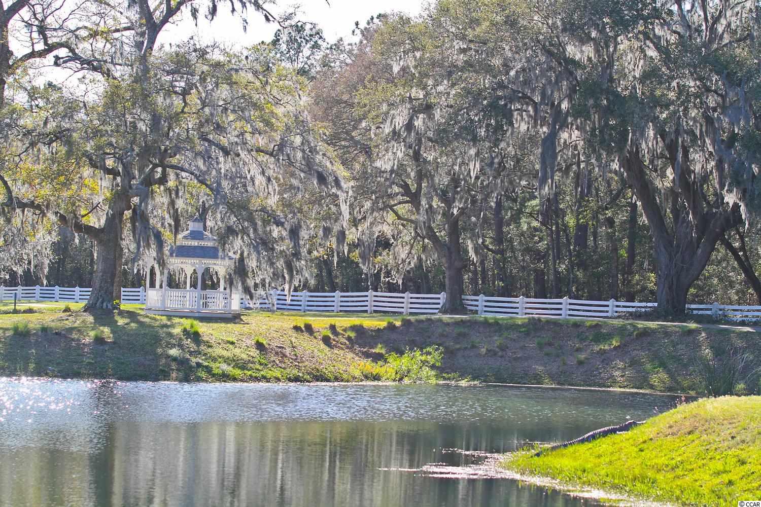 Lot 187 Commanders Island Road Georgetown, SC 29440 - Photo 14 of 29 Gallery Image 14
