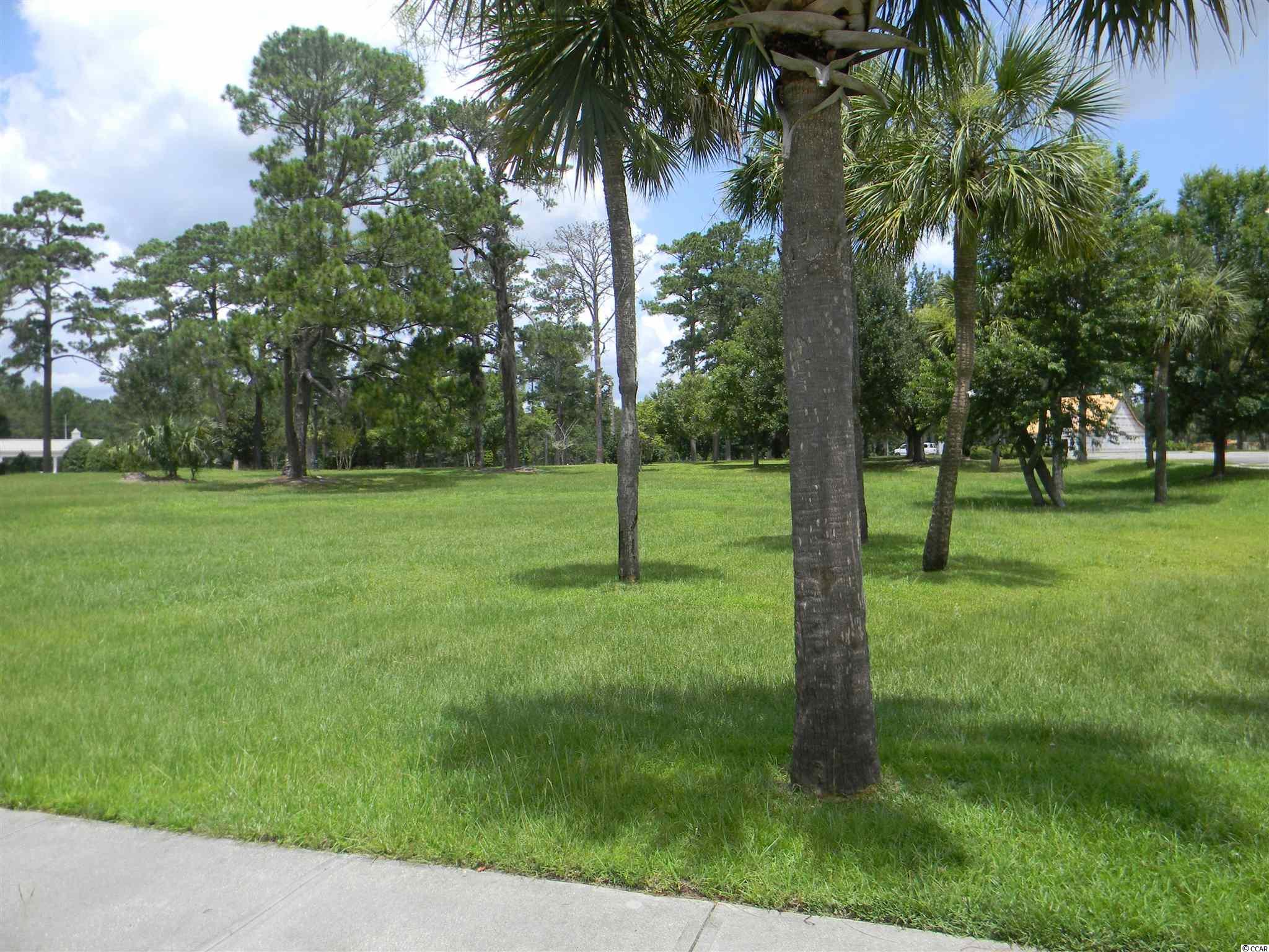 Lot 187 Commanders Island Road Georgetown, SC 29440 - Photo 4 of 29 Gallery Image 4