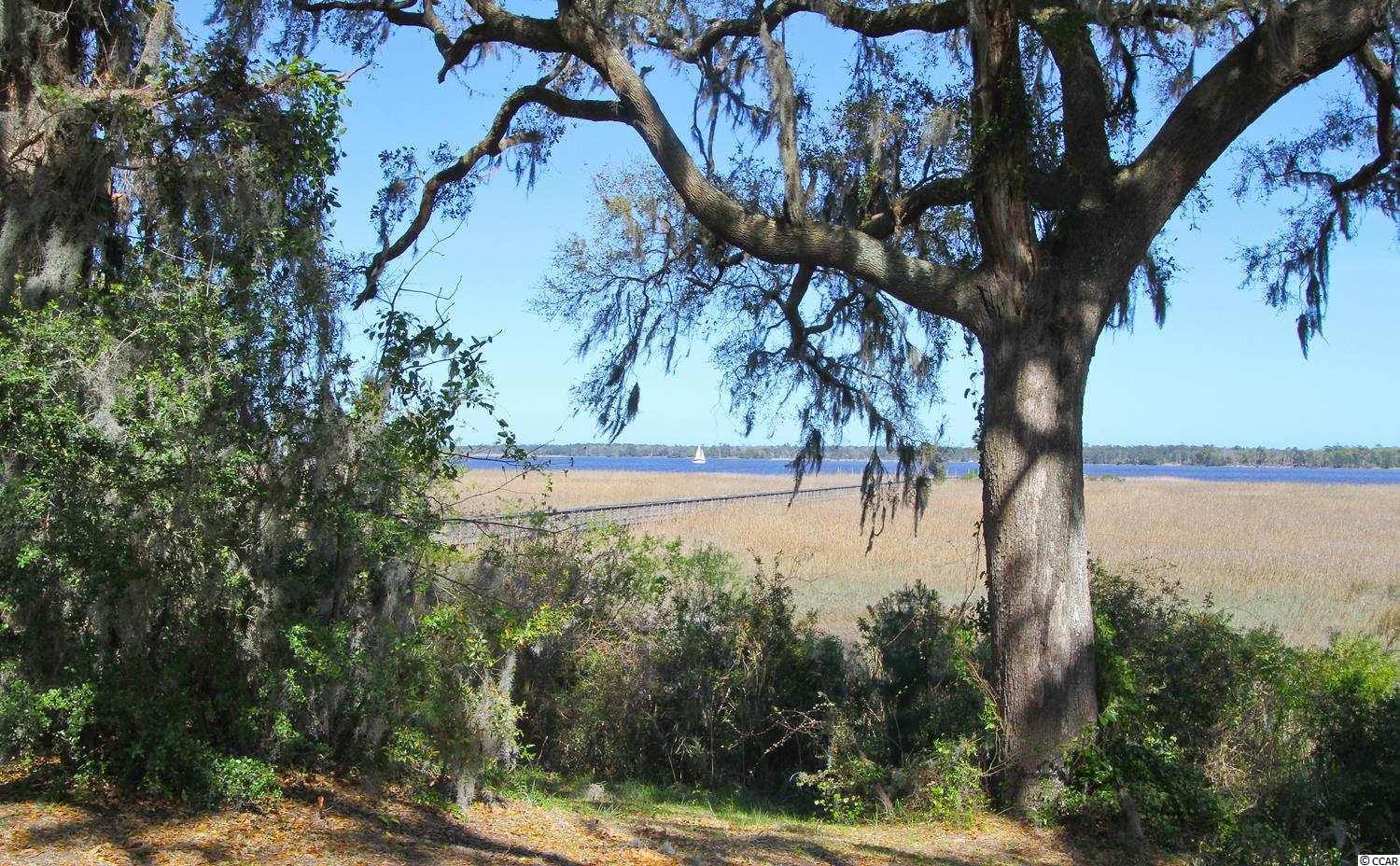 Lot 187 Commanders Island Road Georgetown, SC 29440 - Photo 8 of 29 Gallery Image 8