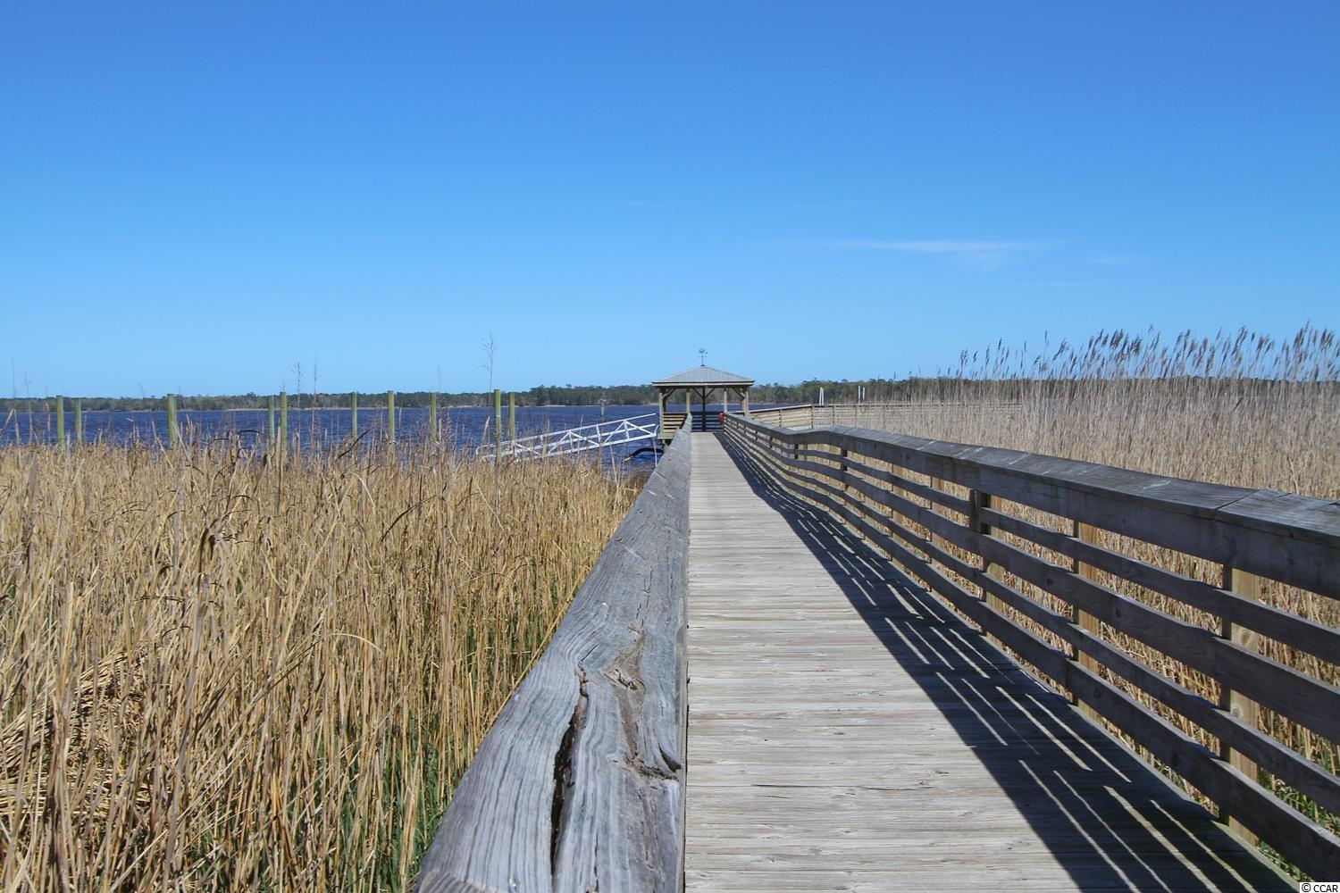 Lot 187 Commanders Island Road Georgetown, SC 29440 - Photo 10 of 29 Gallery Image 10