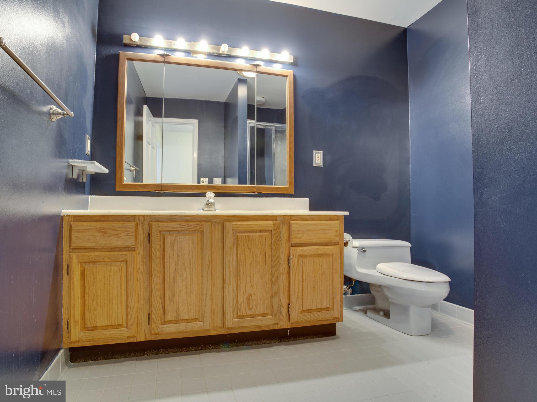 3060 Hickory Ridge Road Dunkirk, MD 20754 - Photo 24 of 29 Bath