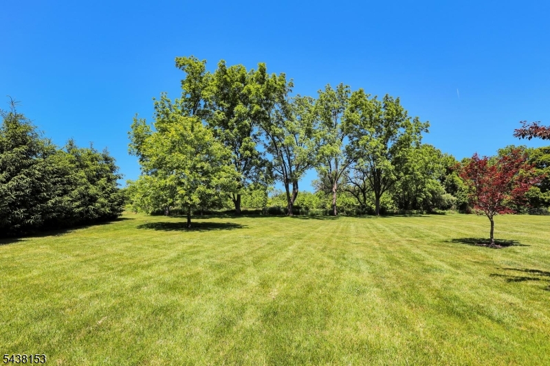 80 Juniper Way Bernards, NJ 07920 - Photo 47 of 48