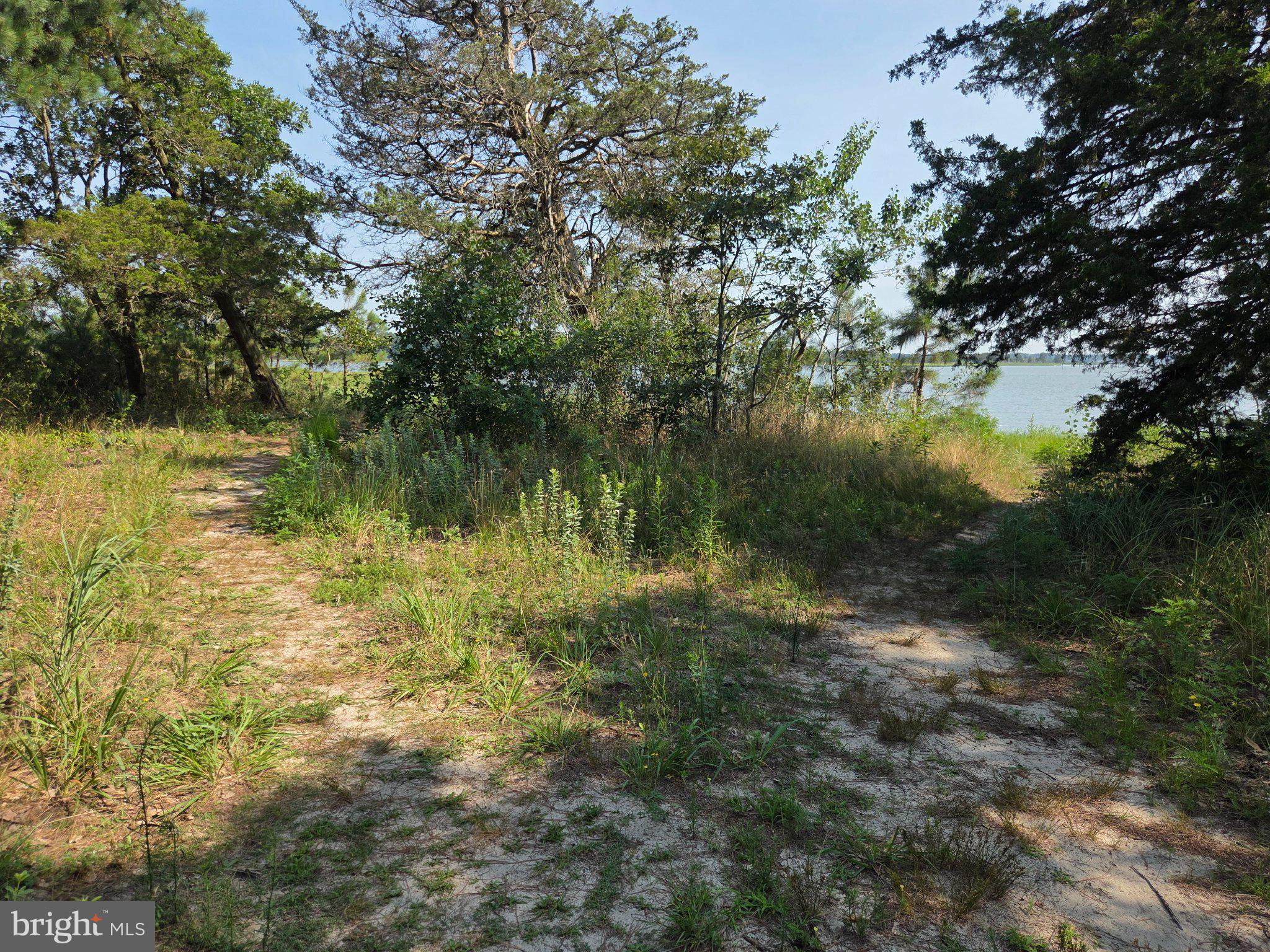2 West Lagoon Road Dagsboro, DE 19939 - Photo 14 of 24