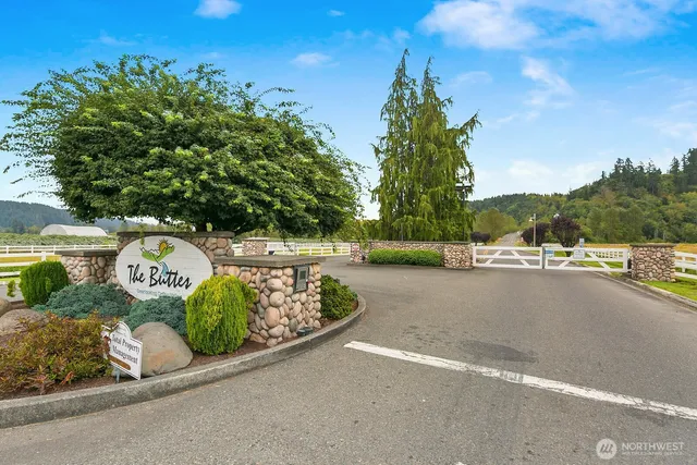 a view of a street with a tree in the background