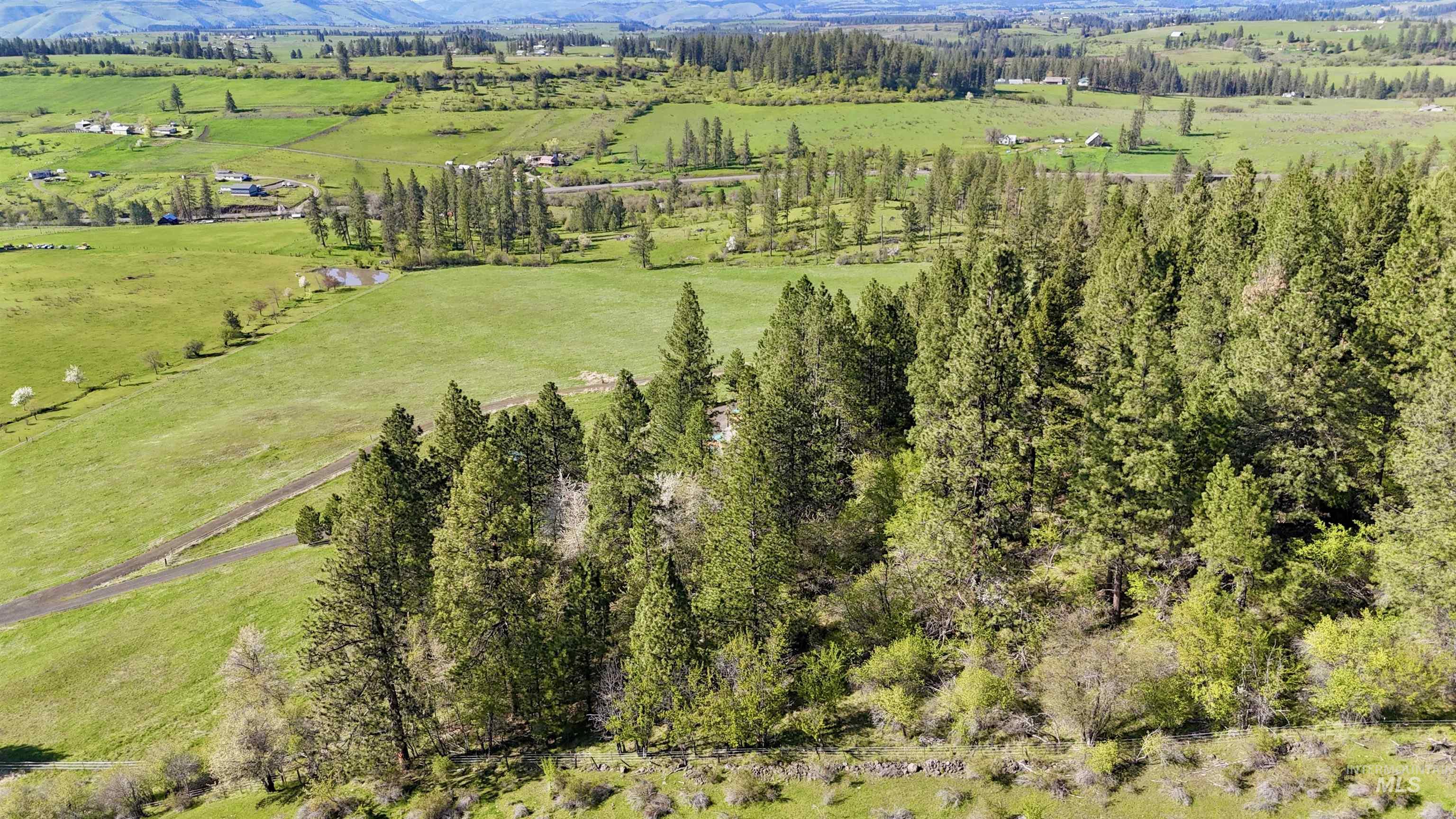 263 Sill Creek Road Stites, ID 83552 - Photo 14 of 49