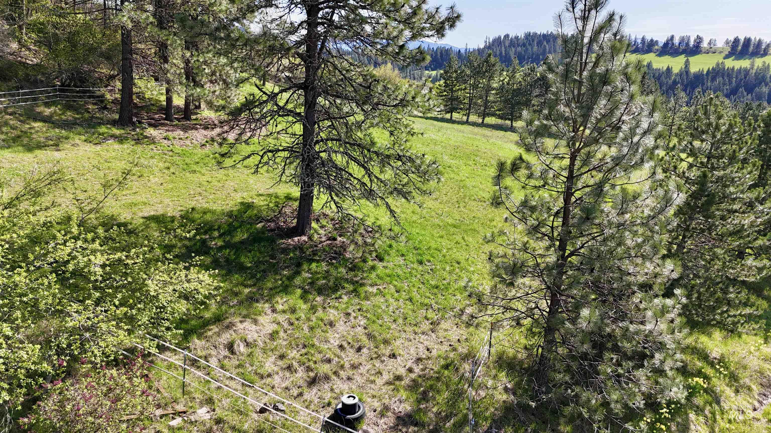 263 Sill Creek Road Stites, ID 83552 - Photo 10 of 49