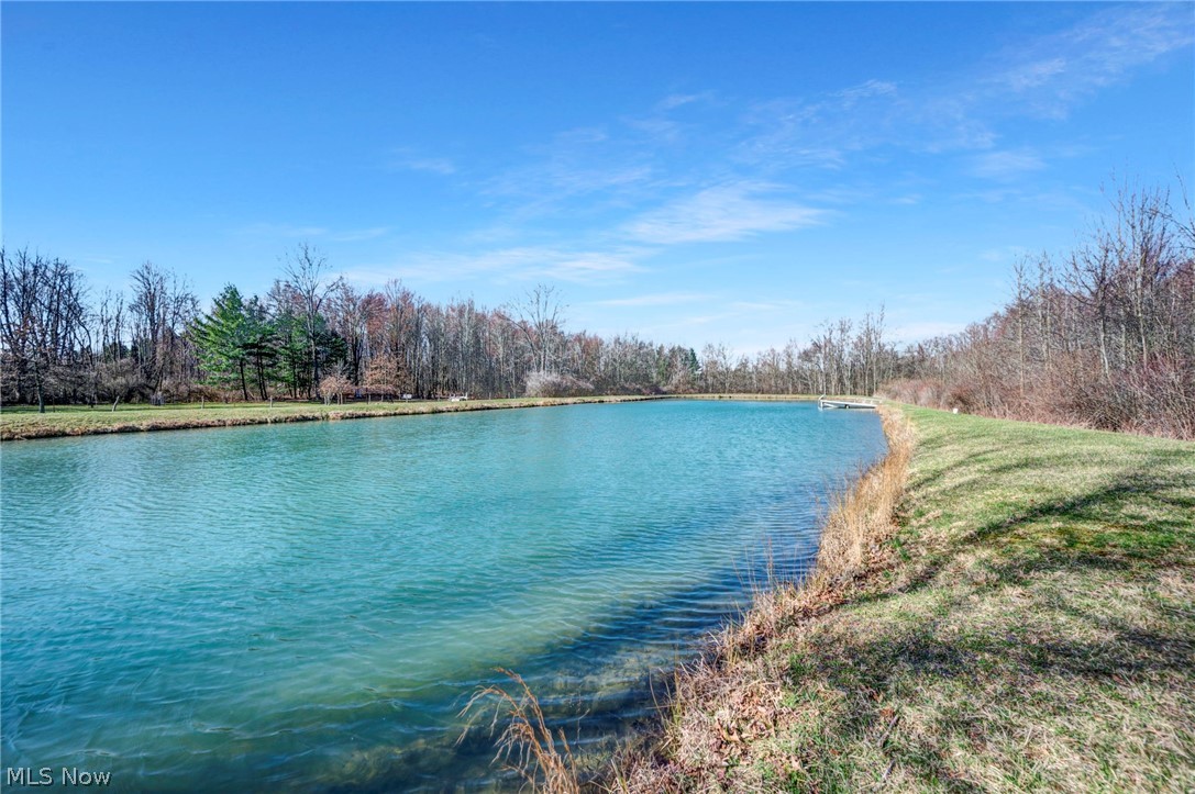 6452 Carsten Road Medina, OH 44256 - Photo 37 of 41 View of water view