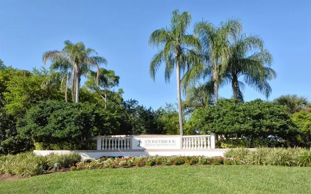 a view of a park bench and a palm tree
