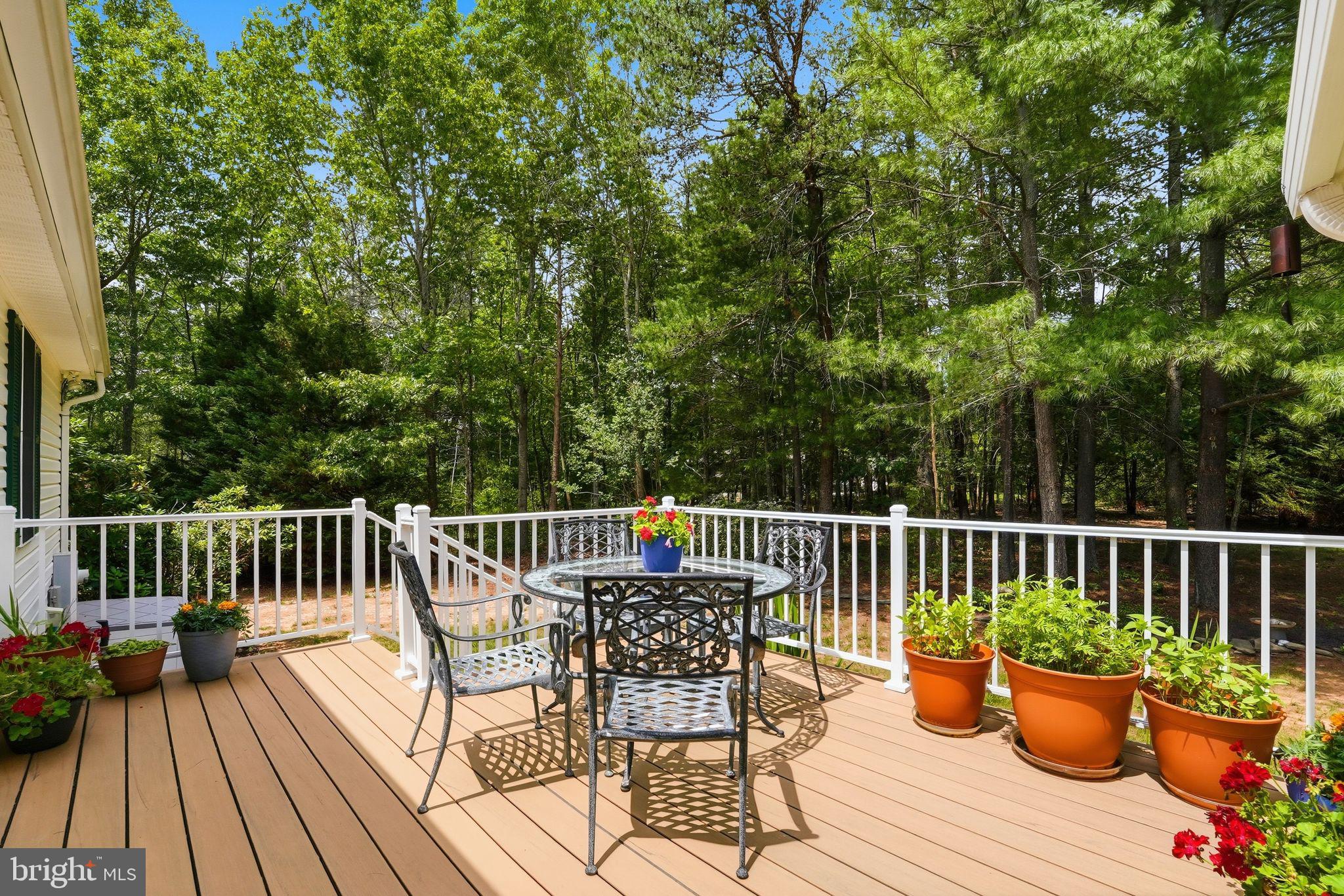 9133 Anchor Road Culpeper, VA 22701 - Photo 50 of 63