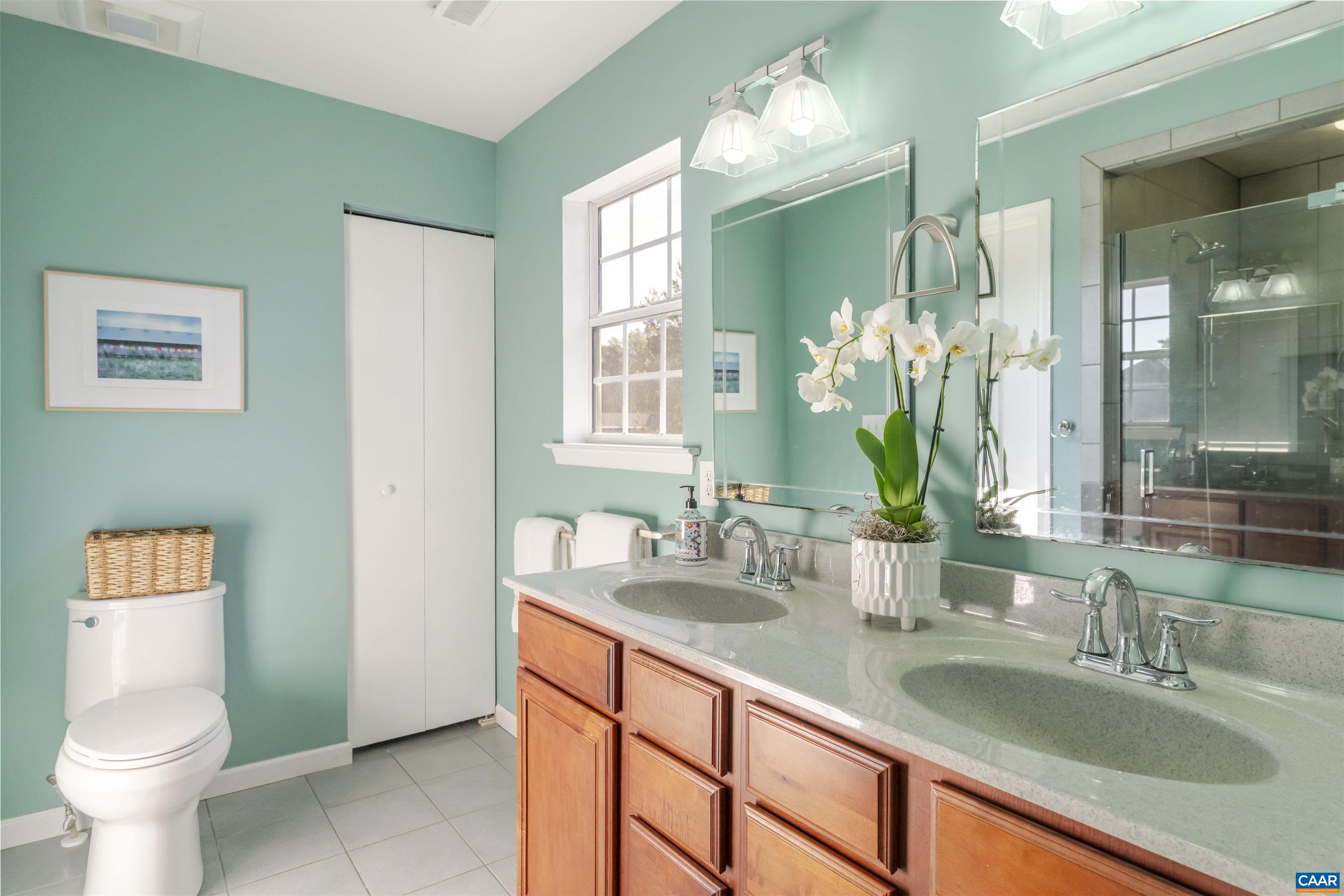 28 Bernice Lane Ruckersville, VA 22968 - Photo 24 of 40 a bathroom with a sink and a toilet