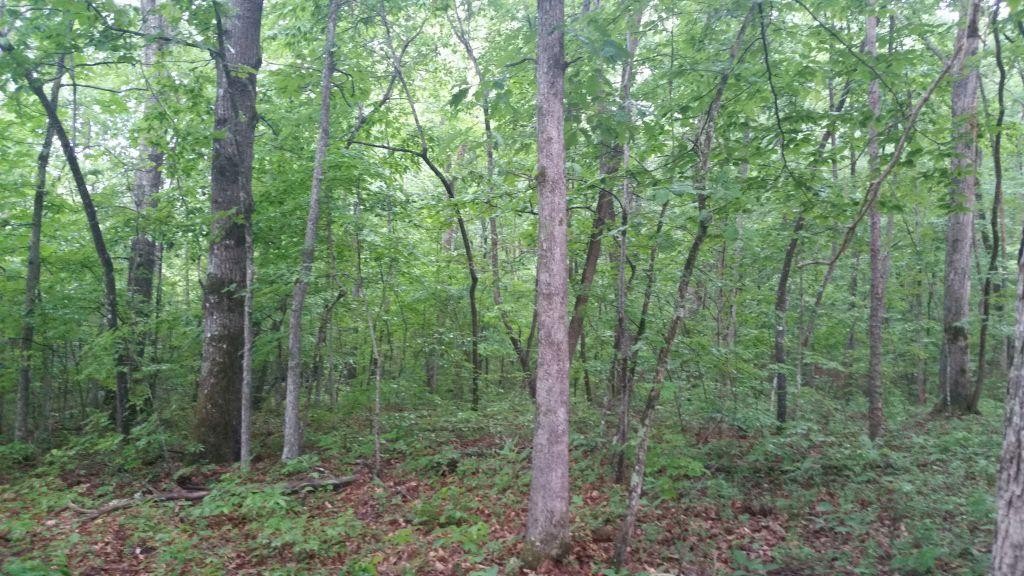325 Valley View Road Crossville, TN 38572 - Photo 1 of 7 Gallery Image 1
