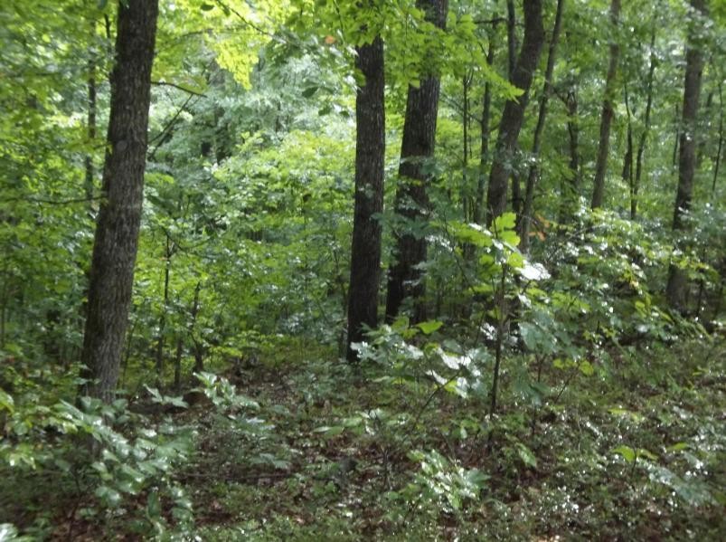 325 Valley View Road Crossville, TN 38572 - Photo 2 of 7 Gallery Image 2