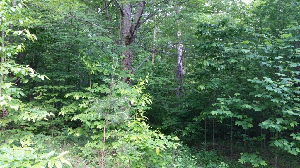 325 Valley View Road Crossville, TN 38572 - Photo 4 of 7 Gallery Image 4