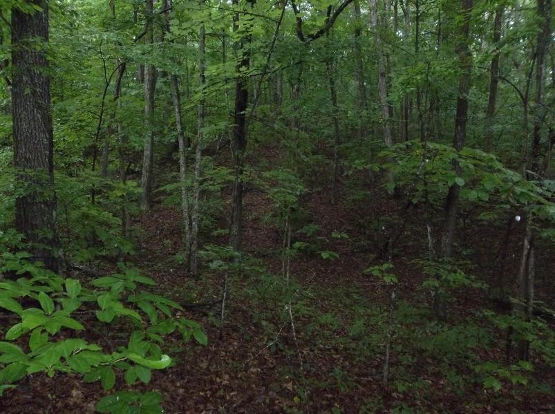 325 Valley View Road Crossville, TN 38572 - Photo 6 of 7 Gallery Image 6