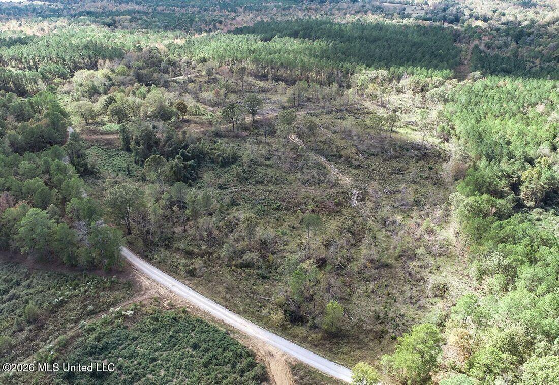 154 County Road Tillatoba, MS 38961 - Photo 5 of 58 4kgrdn39-orig_orig