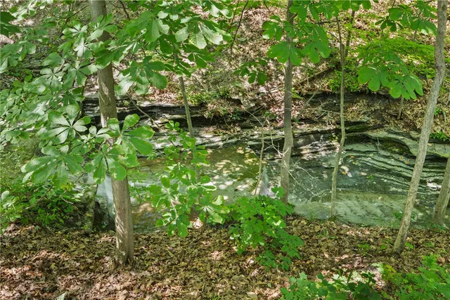 $170,000 | 4 Red Cedar Lane, Starkey, NY 14837