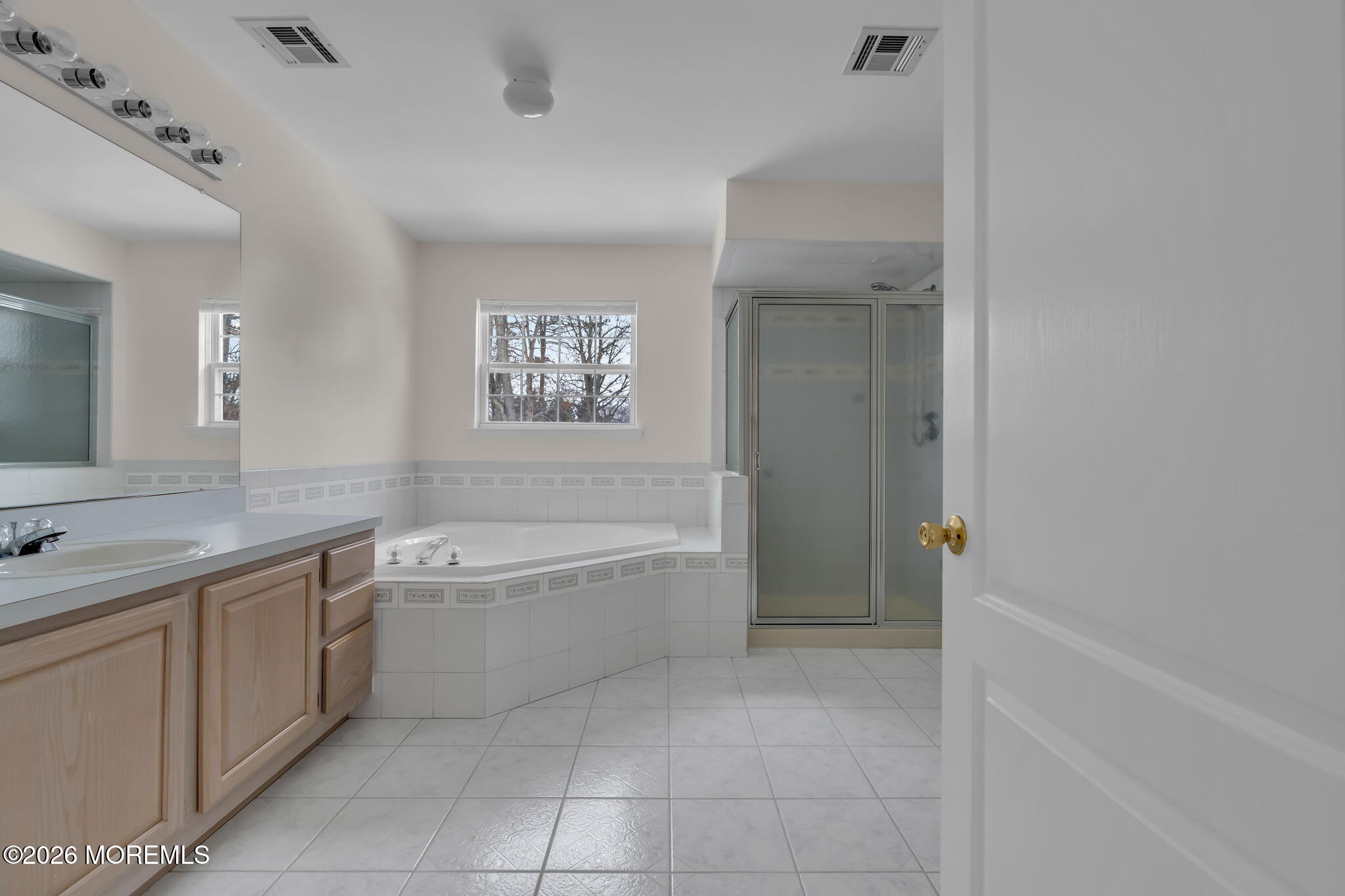 482 Meadowood Road Jackson, NJ 08527 - Photo 20 of 51 a spacious bathroom with a tub sink and mirror