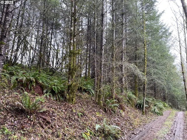 $75,000 | 0 Northeast Buncombe Hollow Road, Woodland, WA 98674