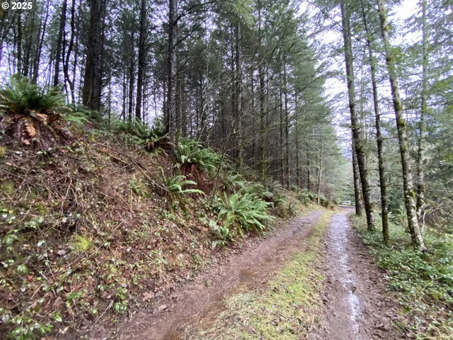 $75,000 | 0 Northeast Buncombe Hollow Road, Woodland, WA 98674
