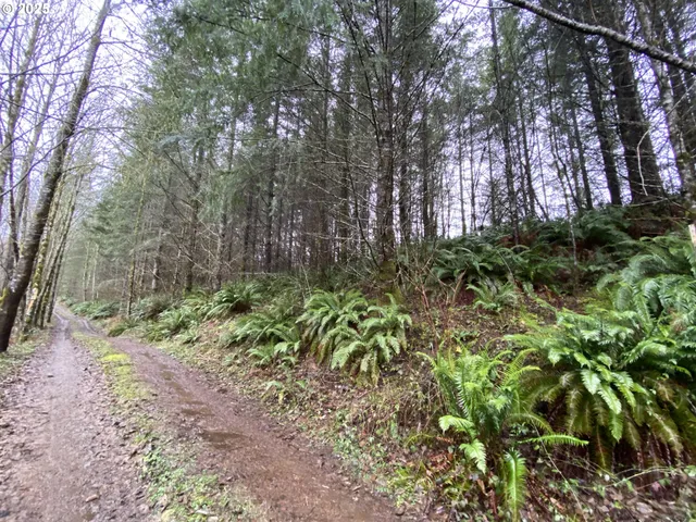 $75,000 | 0 Northeast Buncombe Hollow Road, Woodland, WA 98674