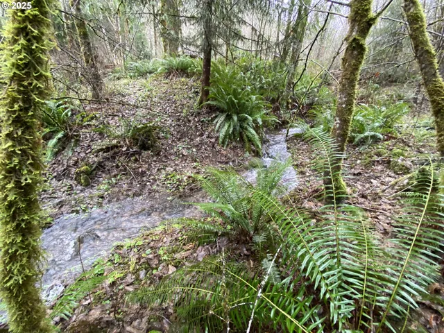 $75,000 | 0 Northeast Buncombe Hollow Road, Woodland, WA 98674