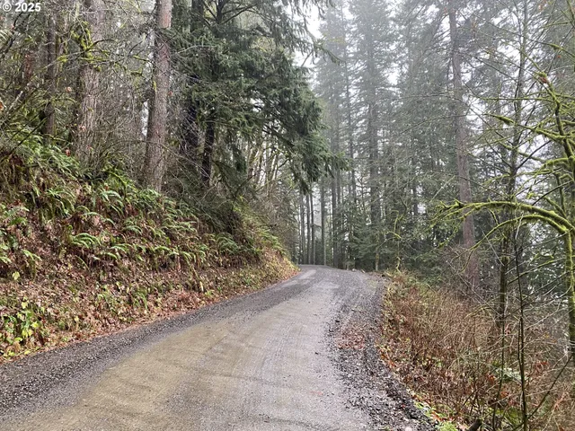$75,000 | 0 Northeast Buncombe Hollow Road, Woodland, WA 98674