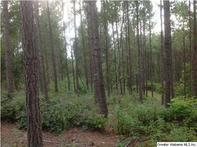 1900 Pepper Road, Unit 55 AC Ashland, AL 36251 - Photo 19 of 20