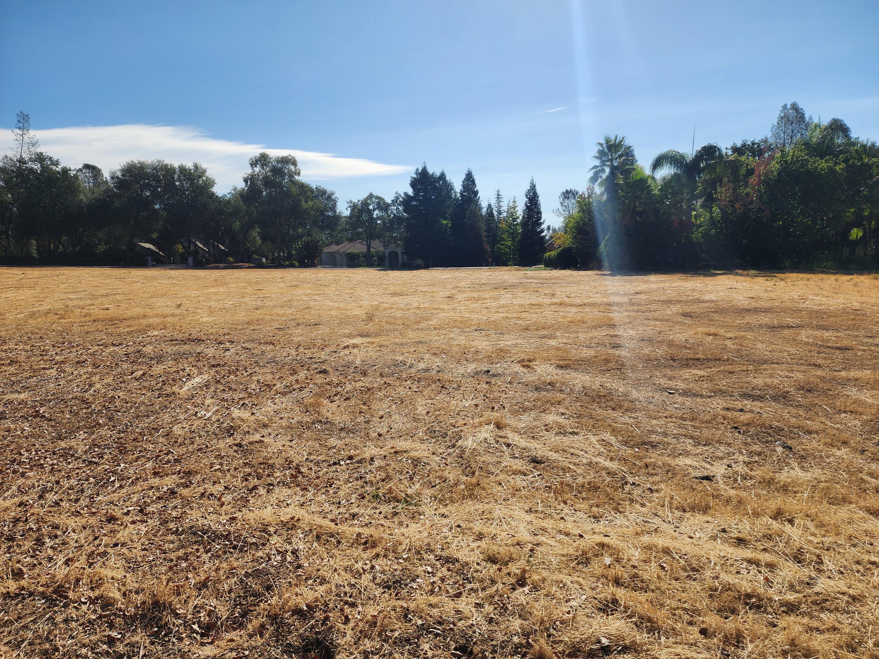 13390 Tierra Heights Road Redding, CA 96003 - Photo 2 of 8 TierraOaks2