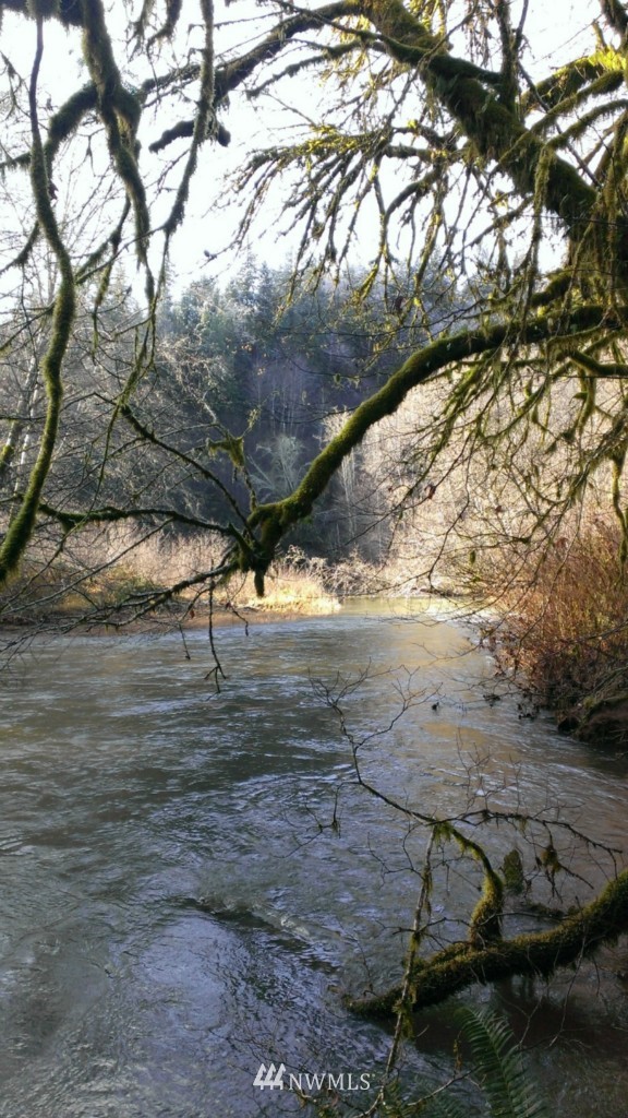 0 Logging Road Aberdeen, WA 98520 - Photo 9 of 9 Gallery Image 9