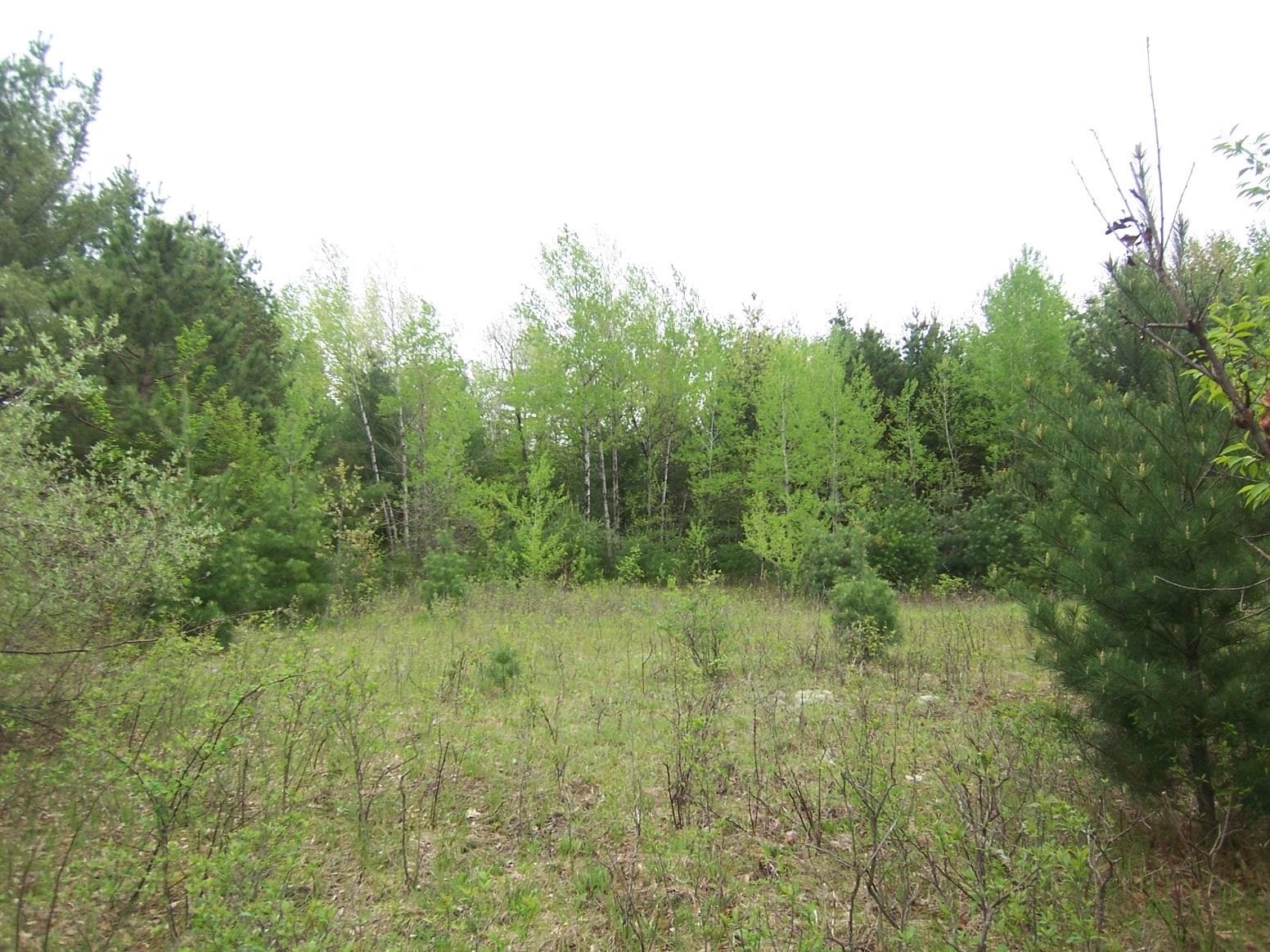 County Road South Sobieski, WI 54171 - Photo 2 of 15
