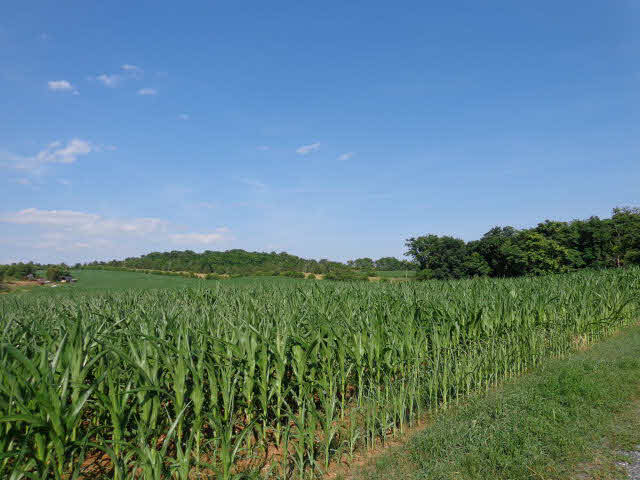 0 Silver Lake Road Dayton, VA 22821 - Photo 2 of 5 Gallery Image 2