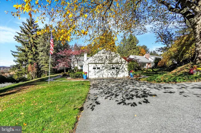 a view of a yard with a tree