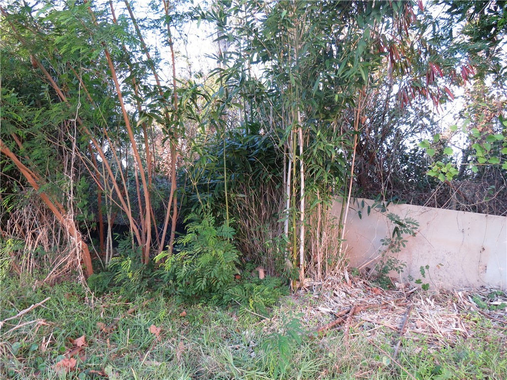 1825 Isom Street, Unit 5 Houston, TX 77039 - Photo 4 of 8 a backyard of a house with lots of green space