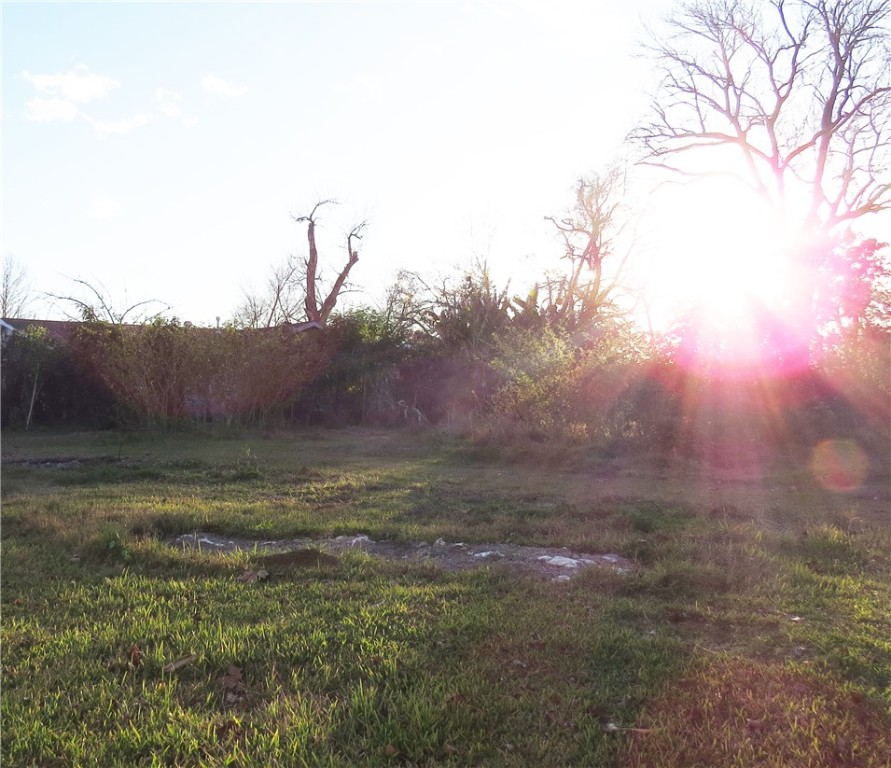 1825 Isom Street, Unit 5 Houston, TX 77039 - Photo 7 of 8 a view of a yard