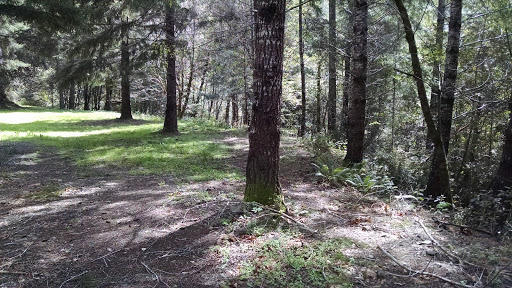 100 Moore Ranch Road Hoopa, CA 95546 - Photo 3 of 11