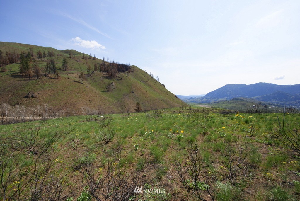 -tbd Bonner Lake Road Twisp, WA 98856 - Photo 22 of 25 Gallery Image 22