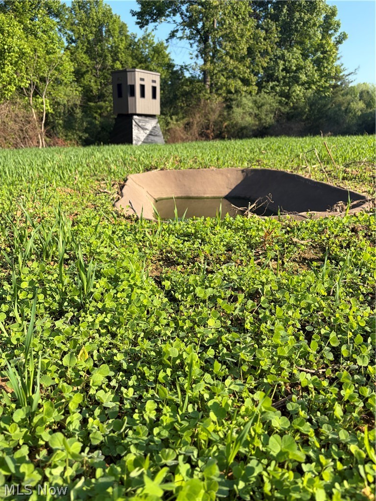 Crum Ridge Road Caldwell, OH 43724 - Photo 12 of 50