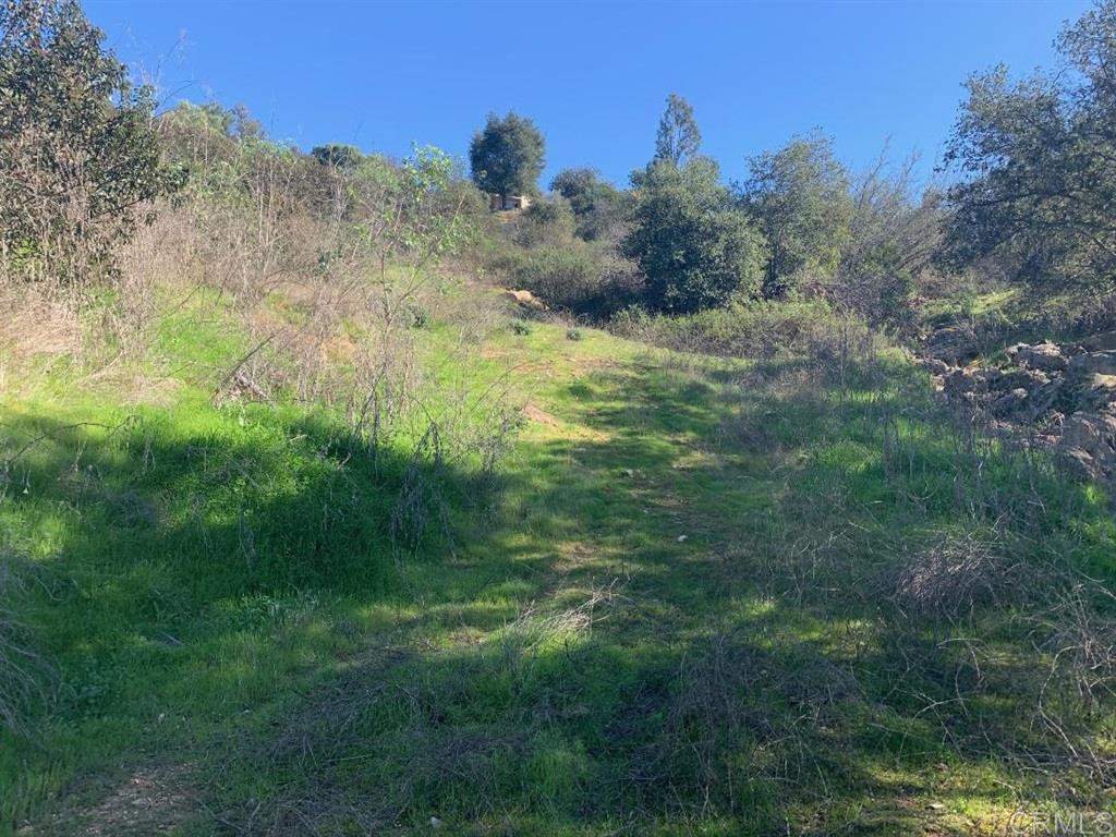 11223 West Lilac Road Valley Center, CA 92082 - Photo 22 of 25