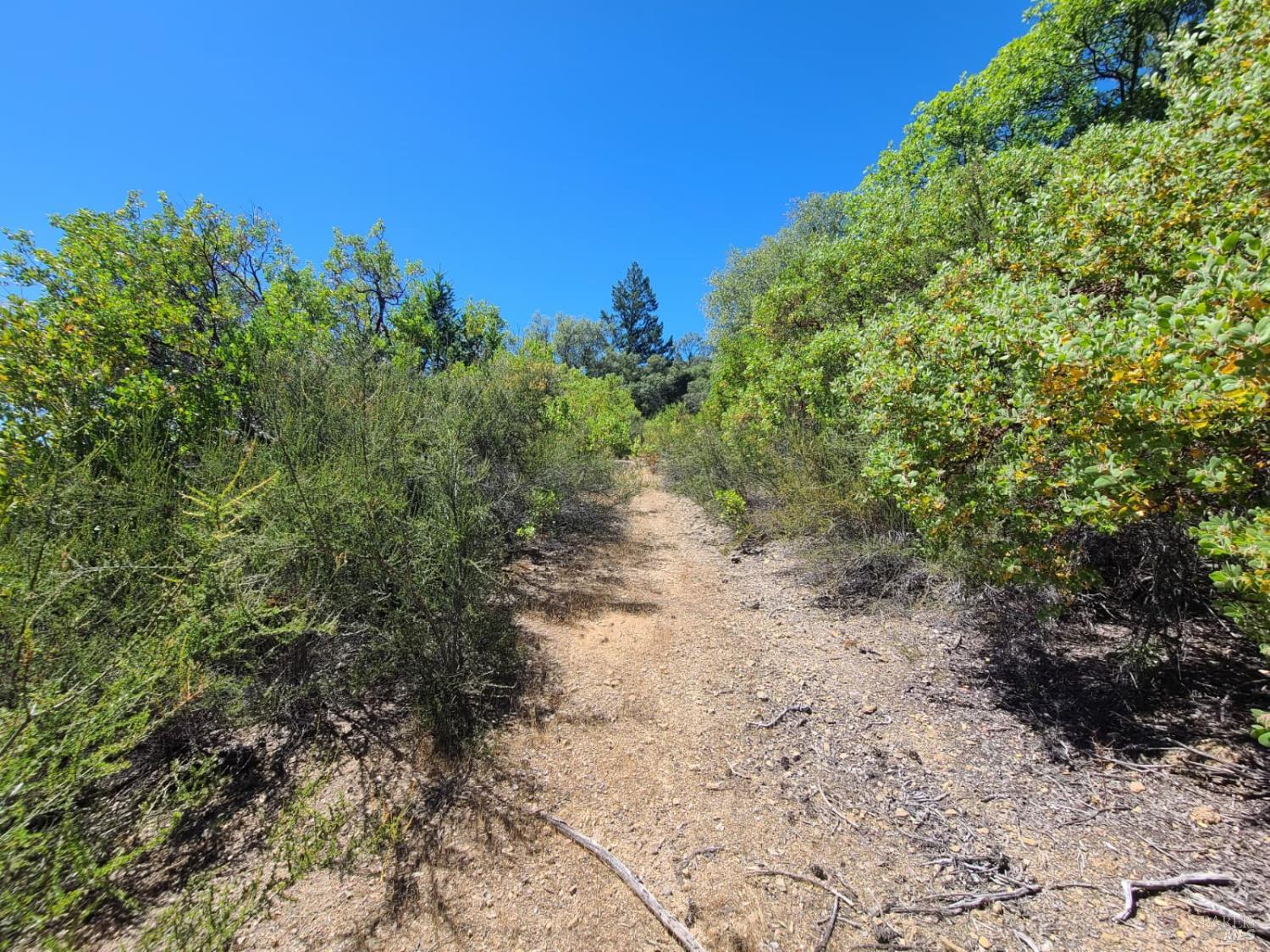 0 Etsel Ridge Road Covelo, CA 95428 - Photo 5 of 18